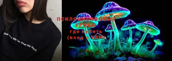крисы Балабаново
