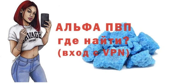 СК Аркадак